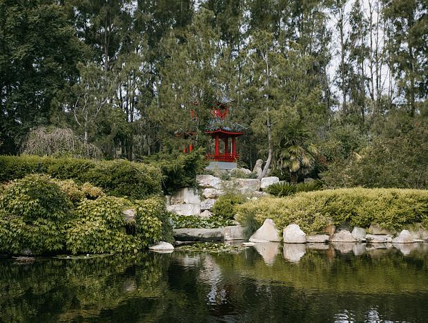 Photo 2 for Picnic at Lambing Flat Chinese Tribute Garden