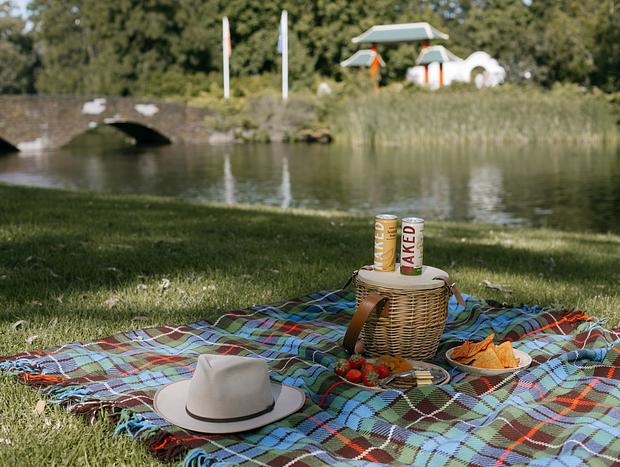 Photo 3 for Picnic at Lambing Flat Chinese Tribute Garden