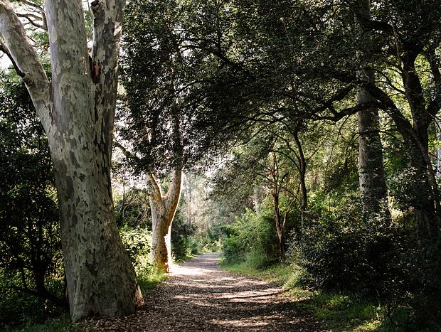 Photo 2 for Stroll Around to Wagstaffe