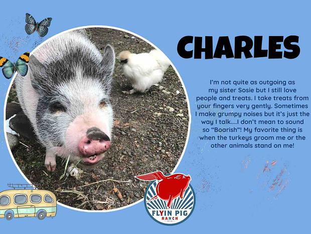 Photo 91 for Flyin Pig Ranch