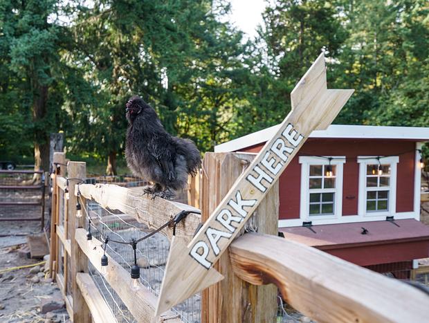 Photo 33 for Flyin Pig Ranch
