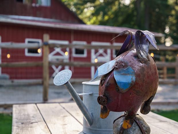 Photo 54 for Flyin Pig Ranch