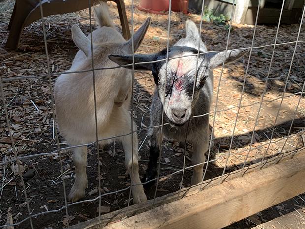 Photo 64 for Flyin Pig Ranch