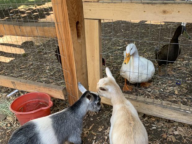 Photo 62 for Flyin Pig Ranch