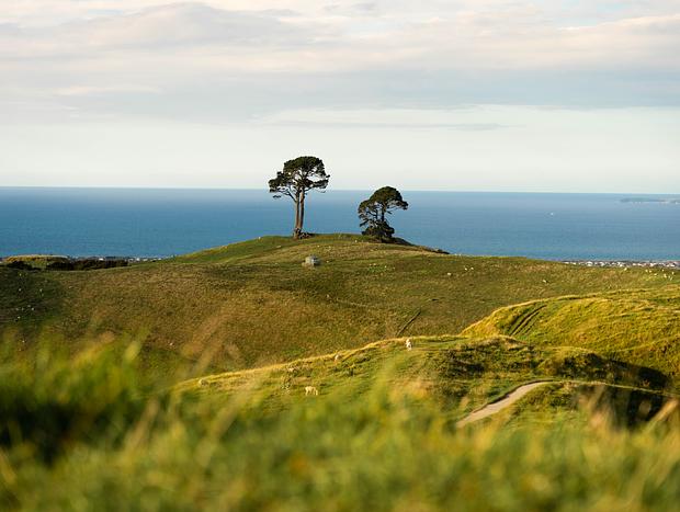 Photo 3 for Papamoa Hills
