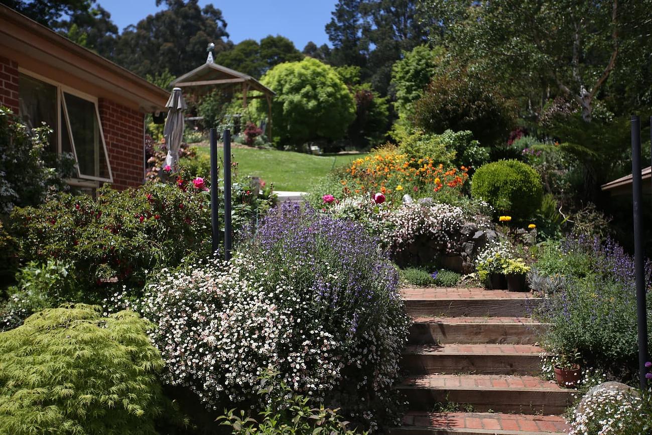 Holly Cottage Olinda Luxury Family Getaway Cottage for Rent in Olinda, Dandenong Ranges, VIC