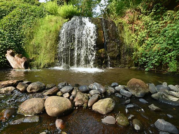 Photo 18 for Private Cabin Right on a Creek and a 15 foot Waterfall!