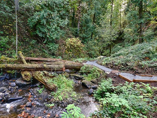 Photo 23 for Private Cabin Right on a Creek and a 15 foot Waterfall!