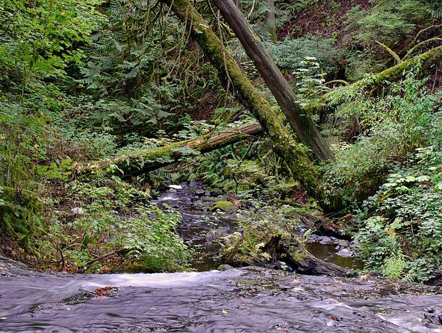 Photo 25 for Private Cabin Right on a Creek and a 15 foot Waterfall!