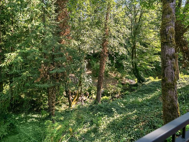 Photo 27 for Private Cabin Right on a Creek and a 15 foot Waterfall!