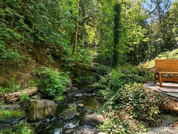 Photo 28 for Private Cabin Right on a Creek and a 15 foot Waterfall!