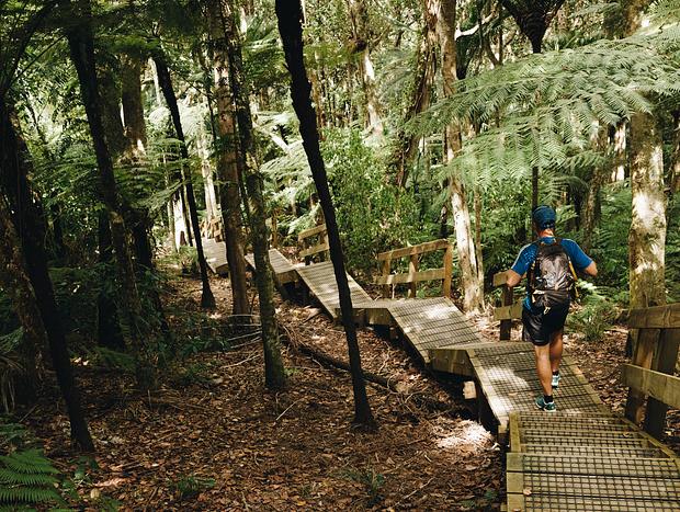 Photo 15 for Classic Kiwi Escape