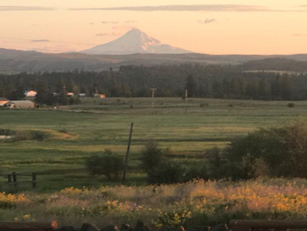 Photo 9 for The Steelhead Ranch