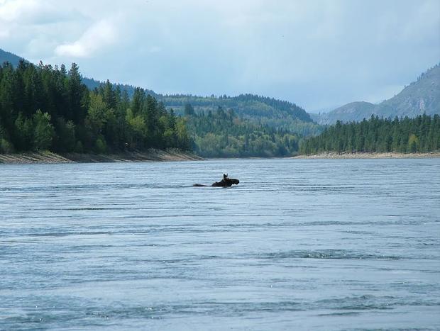Photo 23 for Black Bear Lodge