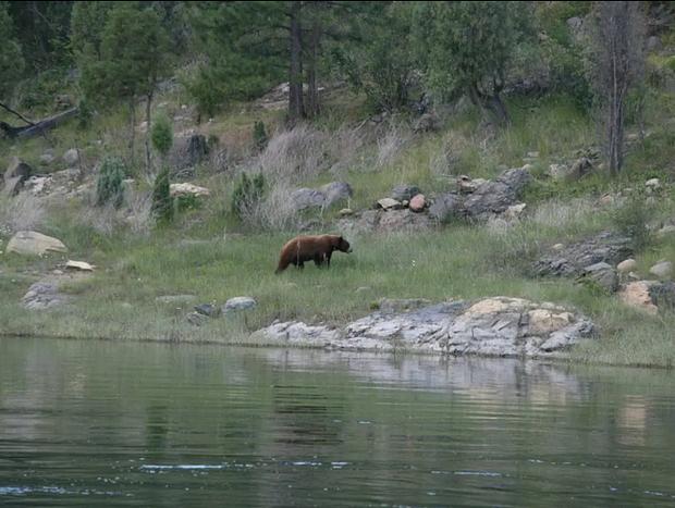 Photo 20 for Black Bear Lodge