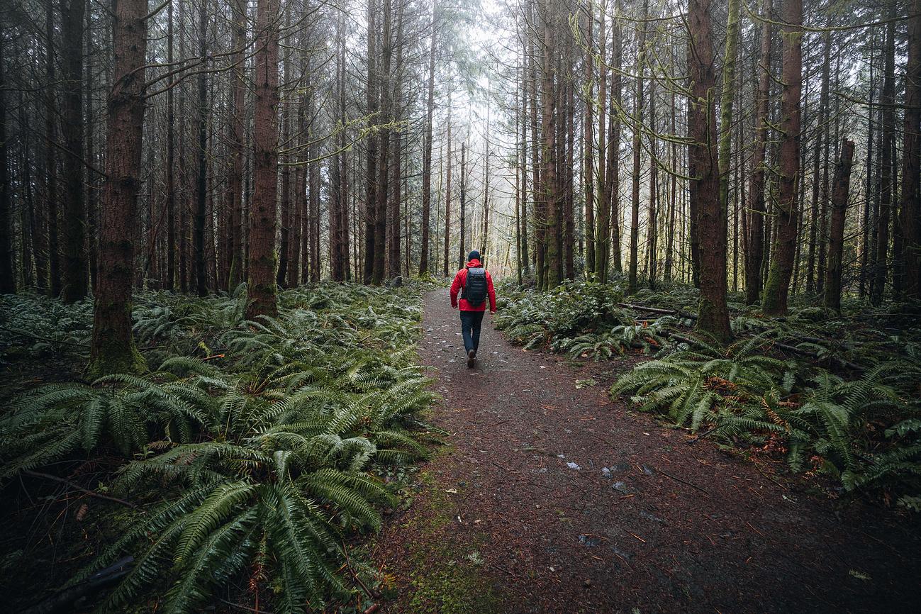 North Kitsap Heritage Park Riparide