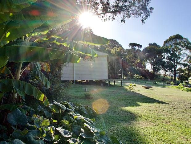 Photo 23 for Ficus Cabin- Under the Morton Bay