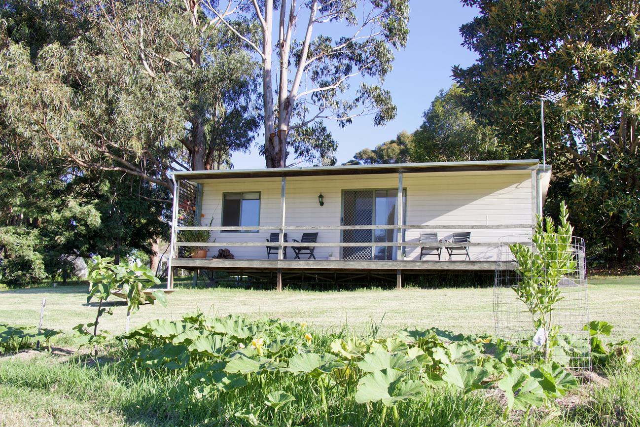 Ficus Cabin Under the Morton Bay Cabin for Rent in Metung, Gippsland