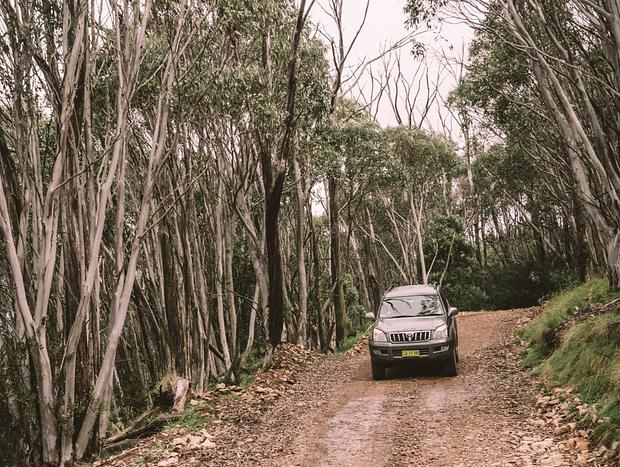 Photo 4 for 4WD Mount Coree Summit