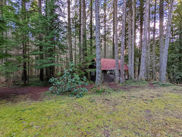 Photo 31 for New Creekside Cabin - Mt Rainier National Park