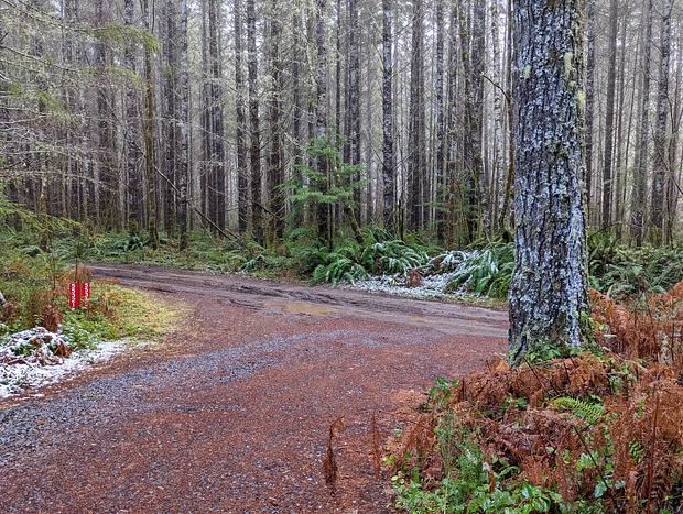 Photo 37 for New Creekside Cabin - Mt Rainier National Park