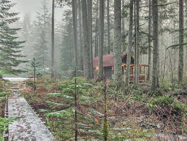 Photo 38 for New Creekside Cabin - Mt Rainier National Park