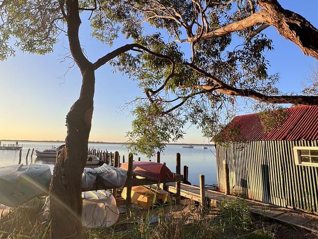 Photo 40 for Ficus Cabin- Under the Morton Bay