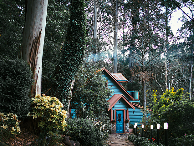 Photo 9 for Amid the Trees