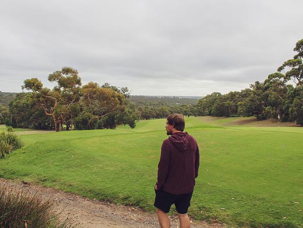 Photo 2 for Kangaroos at Anglesea Golf Club