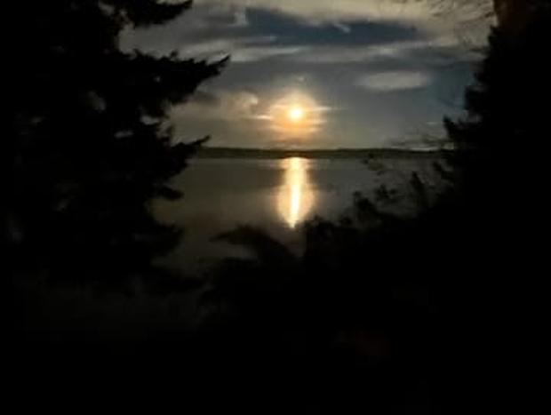 Photo 17 for Old Pine - Cozy & Rustic Cabin on Puget Sound