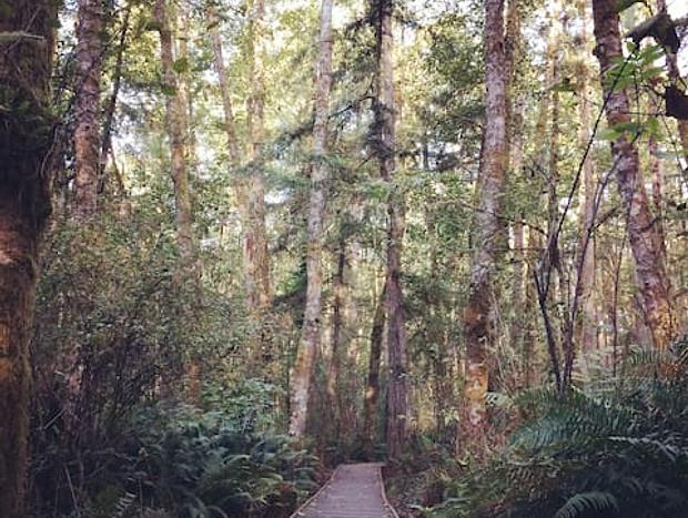 Photo 20 for Old Pine - Cozy & Rustic Cabin on Puget Sound