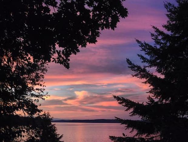 Photo 21 for Old Pine - Cozy & Rustic Cabin on Puget Sound
