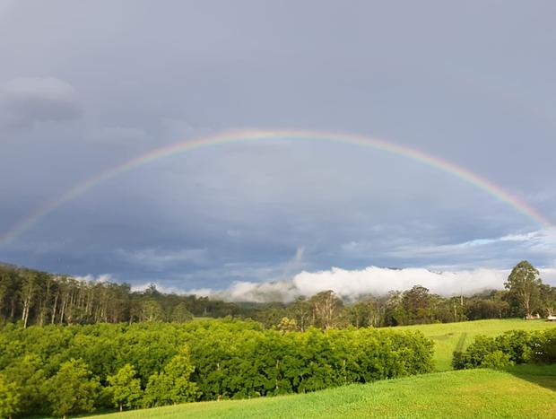 Photo 12 for Bellbowra Farmstay Nambucca Valley - Pet Friendly