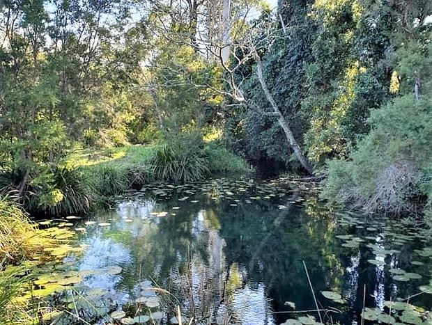 Photo 13 for Bellbowra Farmstay Nambucca Valley - Pet Friendly