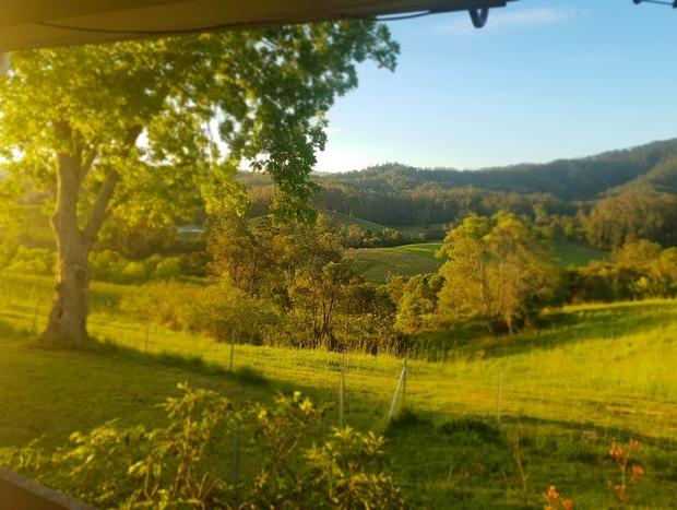 Photo 16 for Bellbowra Farmstay Nambucca Valley - Pet Friendly