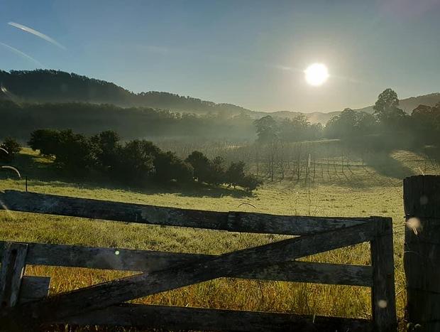 Photo 18 for Bellbowra Farmstay Nambucca Valley - Pet Friendly