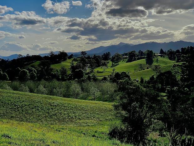Photo 24 for Bellbowra Farmstay Nambucca Valley - Pet Friendly