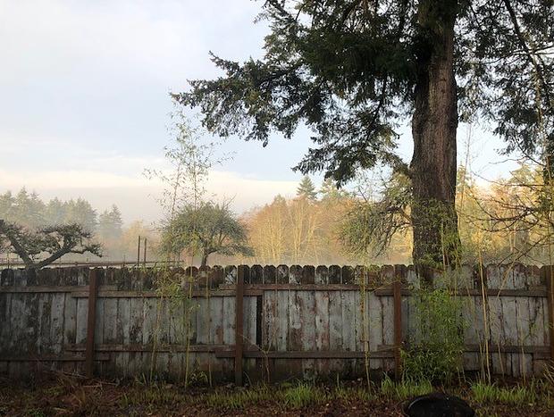 Photo 51 for MiKo’s Guest House with hot tub, wood-burning stove, outdoor ambiance