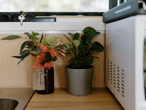 Photo 7 for Tiny House Big View 2