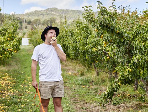 Photo 1 for Henry & Harcourt Cidery