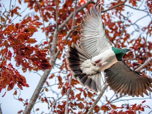 Photo 1 for Bird Watching