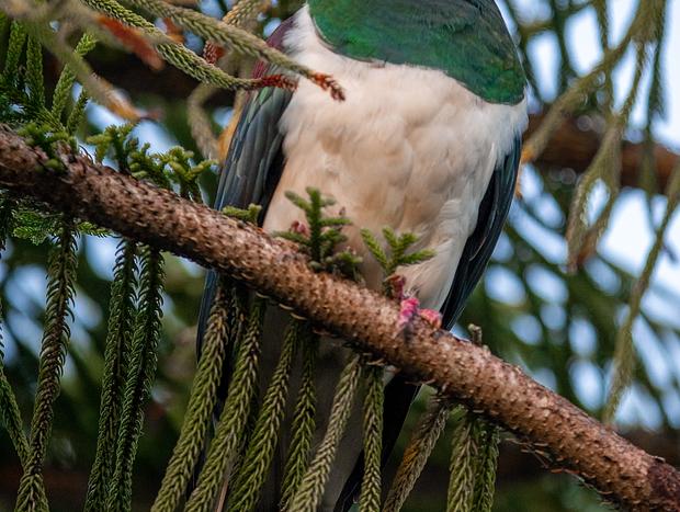 Photo 3 for Bird Watching