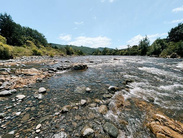 Photo 5 for Māoribank Swimming Hole