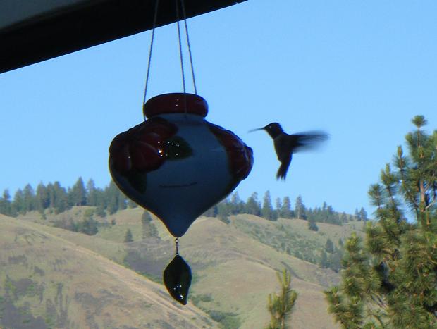 Photo 41 for Hummingbird Hill-Spacious Cabin Hot Tub,Artwork,ATV Access,Kid's & Pets Welcome
