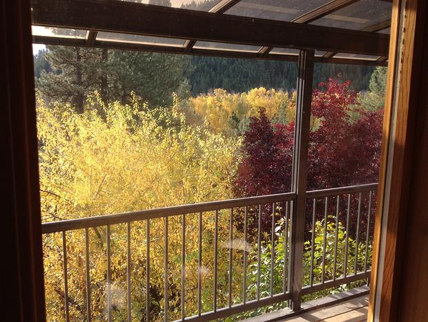 Photo 25 for Hummingbird Hill-Spacious Cabin Hot Tub,Artwork,ATV Access,Kid's & Pets Welcome