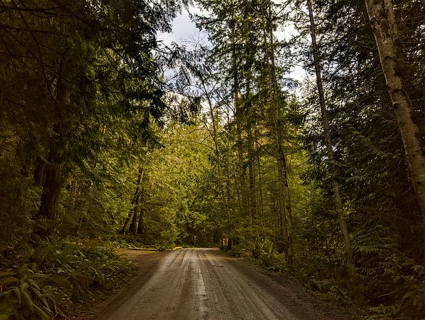 Photo 4 for Exploring Gibbs Lake