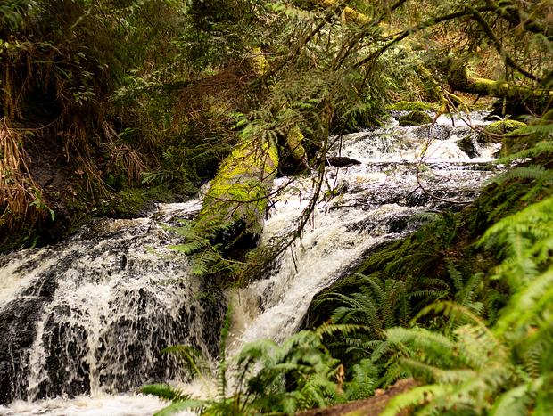 Photo 1 for Taking a Stroll Around Ludlow Falls