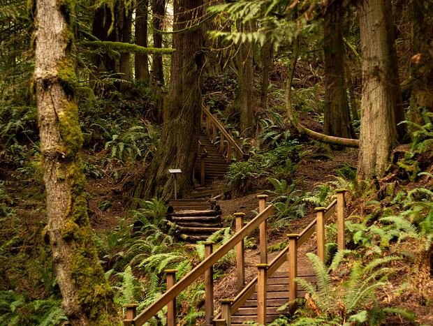 Photo 3 for Taking a Stroll Around Ludlow Falls
