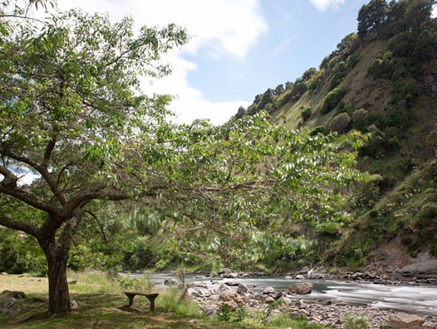 Photo 17 for 'The Bus' - Secret Bus Hideaway by the Rangitikei River
