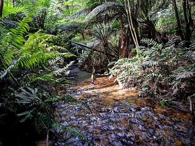 Photo 14 for The Burrow at Wombat Bend